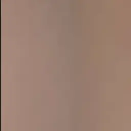 Profile image of リナ