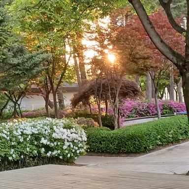 Profile image of 김수연