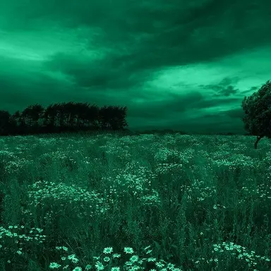 Profile image of 황 수현