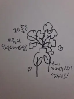 Profile image of 크베티