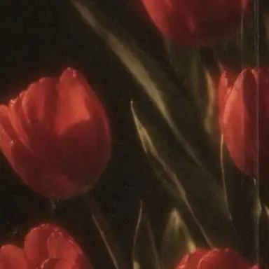 Profile image of 플래그