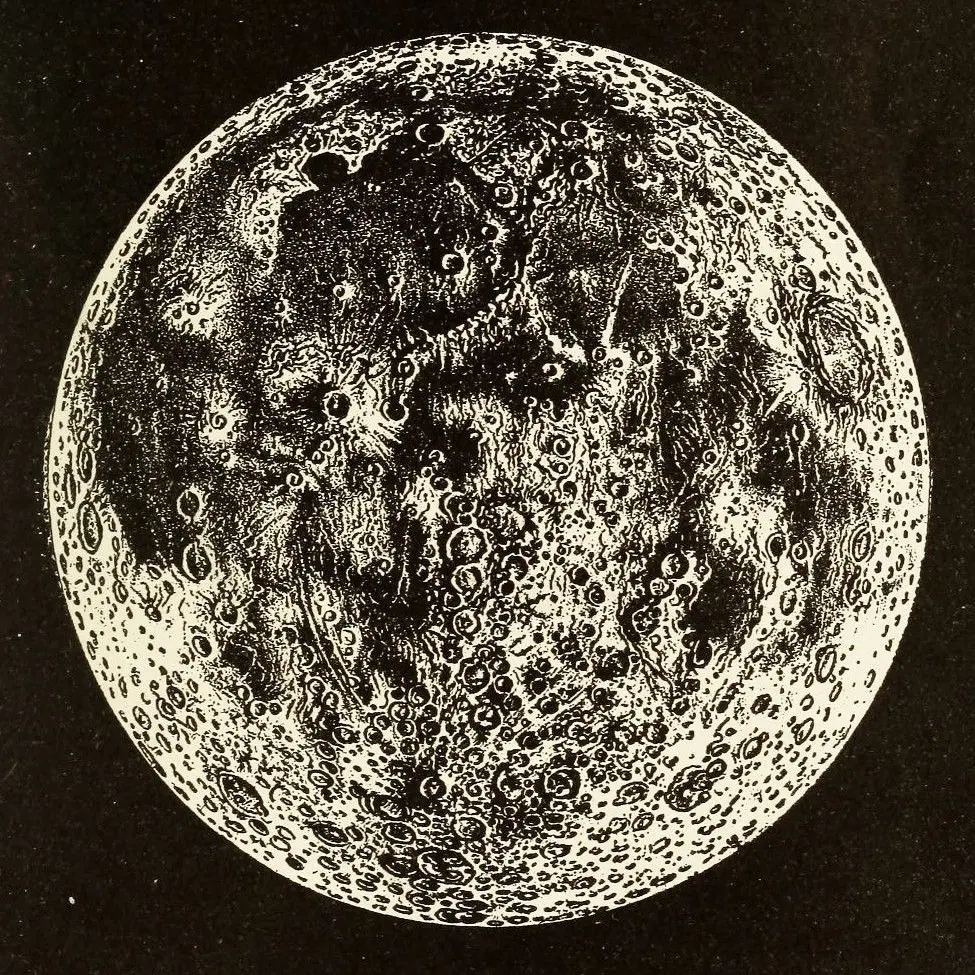 foolishjustification...의 ­