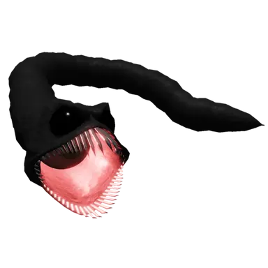Profile image of Slugfish
