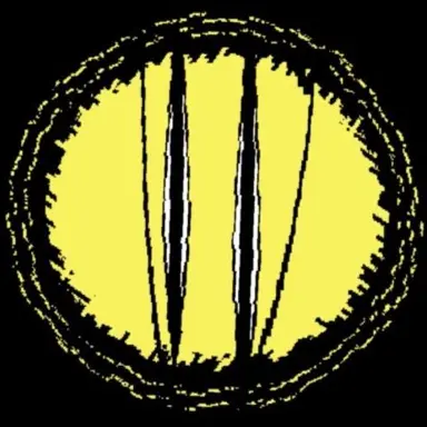 Profile image of Dozer