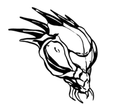Profile image of 사마귀