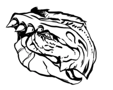 Profile image of 모렐라톱스