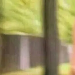 shshshshshsshadow의 gg