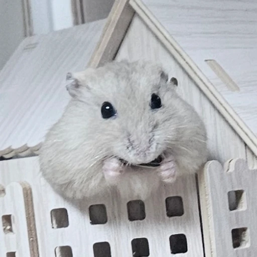 찰떡