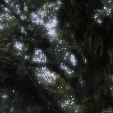 Profile image of じゃぱぱ