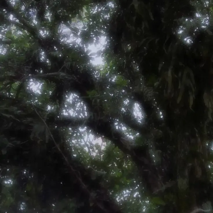 OrnateSpoon8744의 からぴち  :  光と影