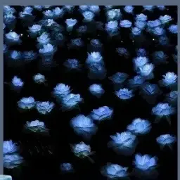 Profile image of もふ