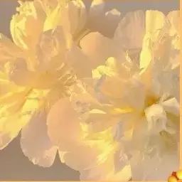 Profile image of たっつん