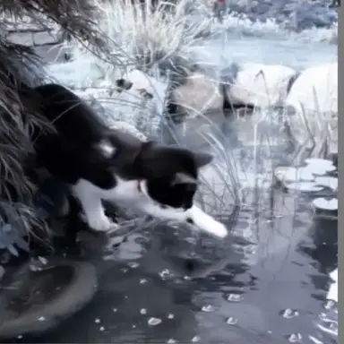 Profile image of うり