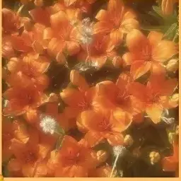 Profile image of えと