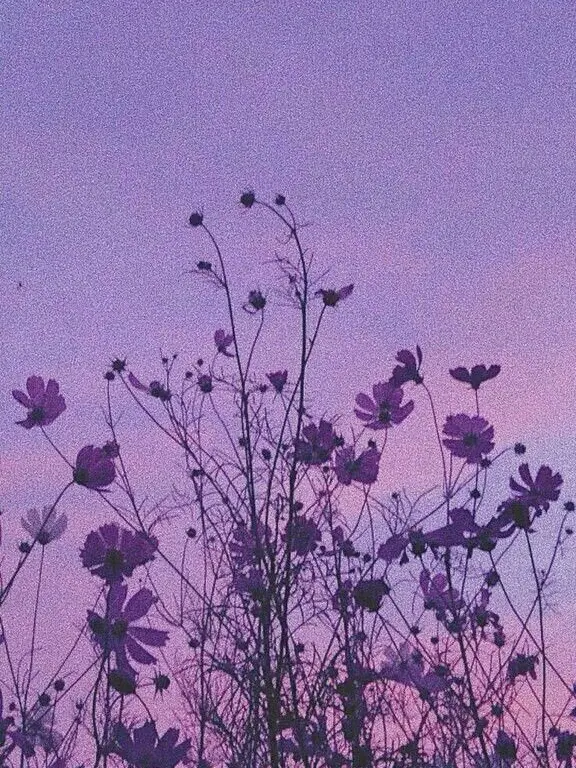 kurusiikurusiikurusii의 👓