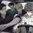 네스트N 조직