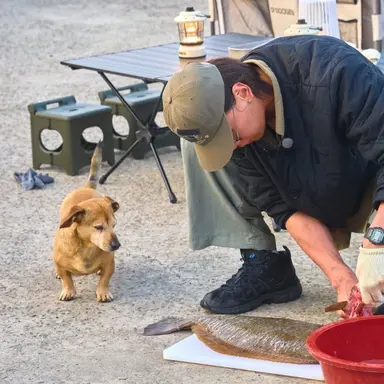 Profile image of 김민우