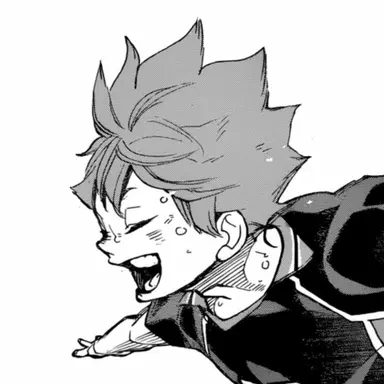 Profile image of 日向翔陽