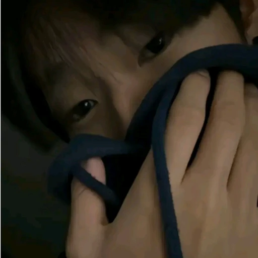 권무진