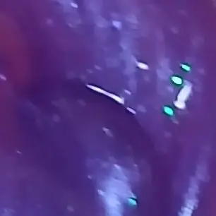 Profile image of 평학