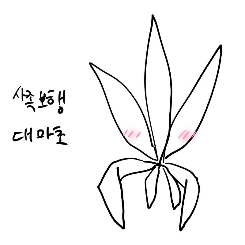 Biyan의 대마초