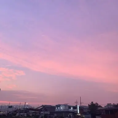 Profile image of 위저드