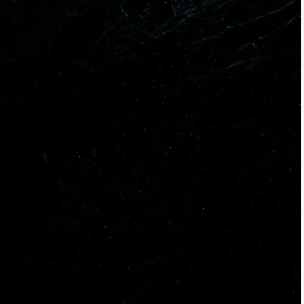 FreshAlbum5482의 급식왕+pws 흔한남매 4편