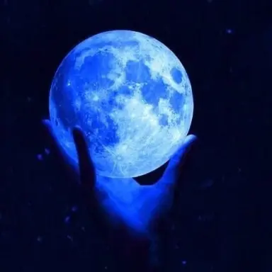 Profile image of 파이브