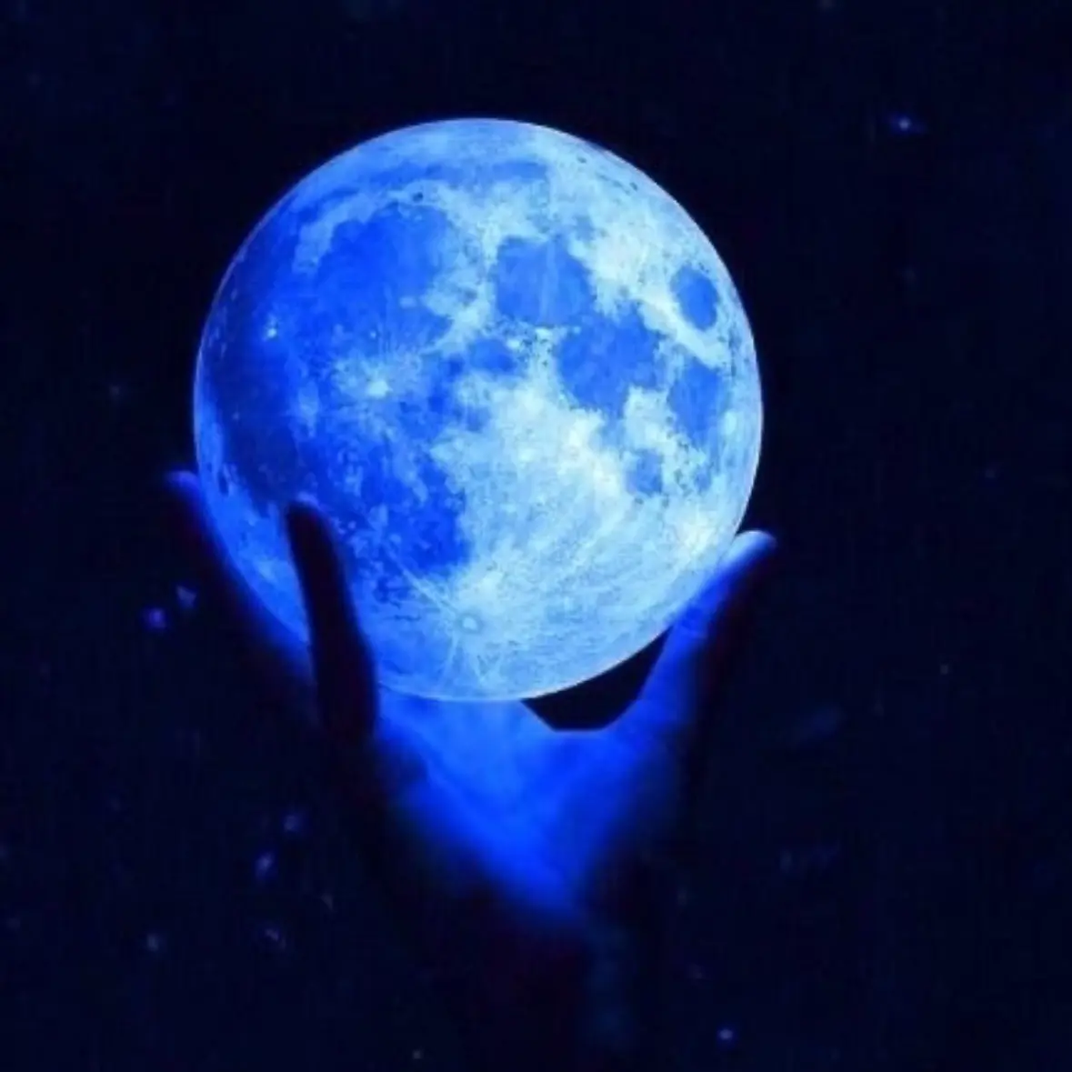 CurvyBloom5607의 astra Cynthia (개인용)