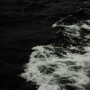 Profile image of 서라더