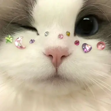 Profile image of カリナ