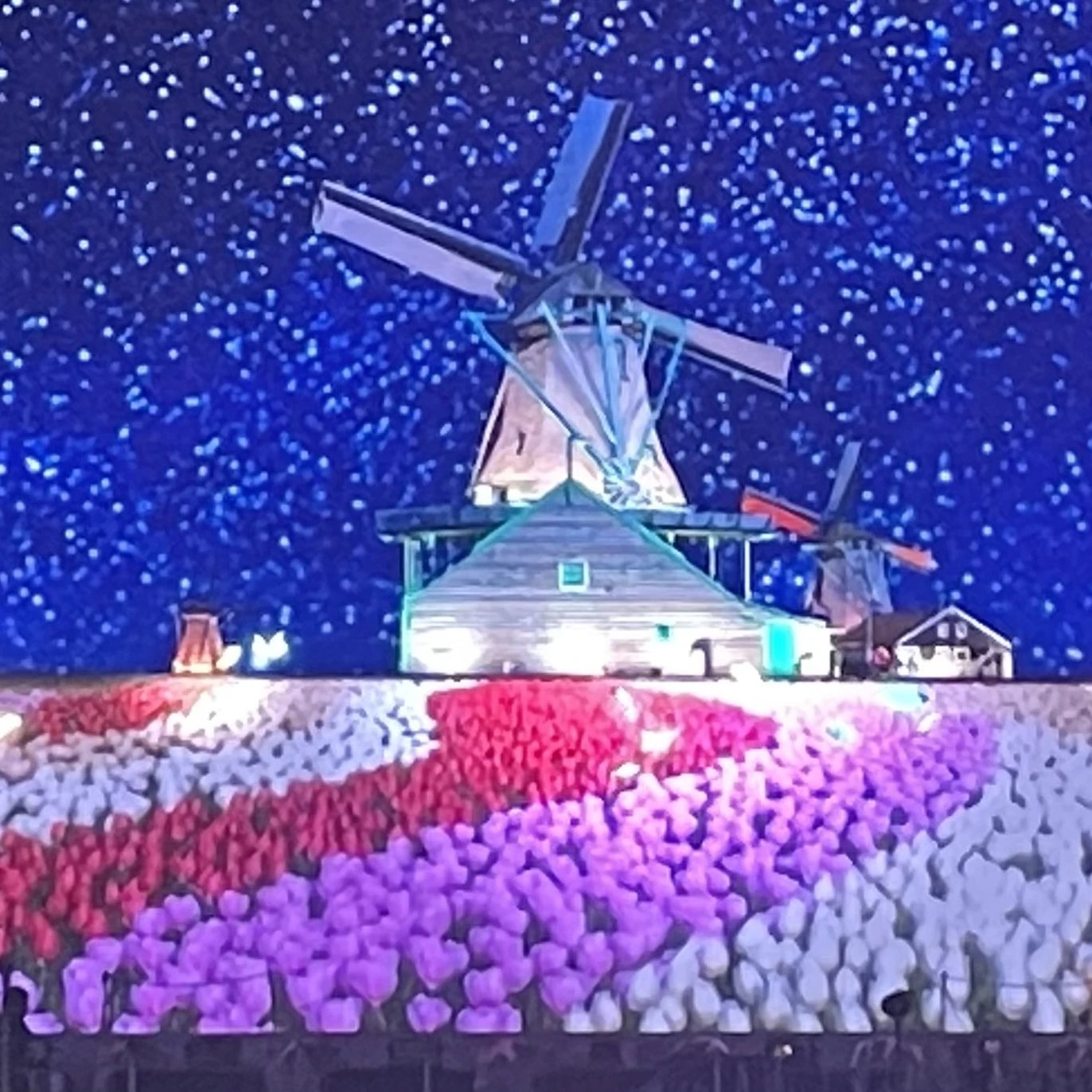 컨트리 휴먼 학교