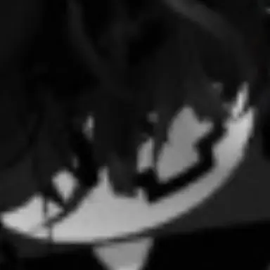 Profile image of 채스터