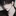유 준