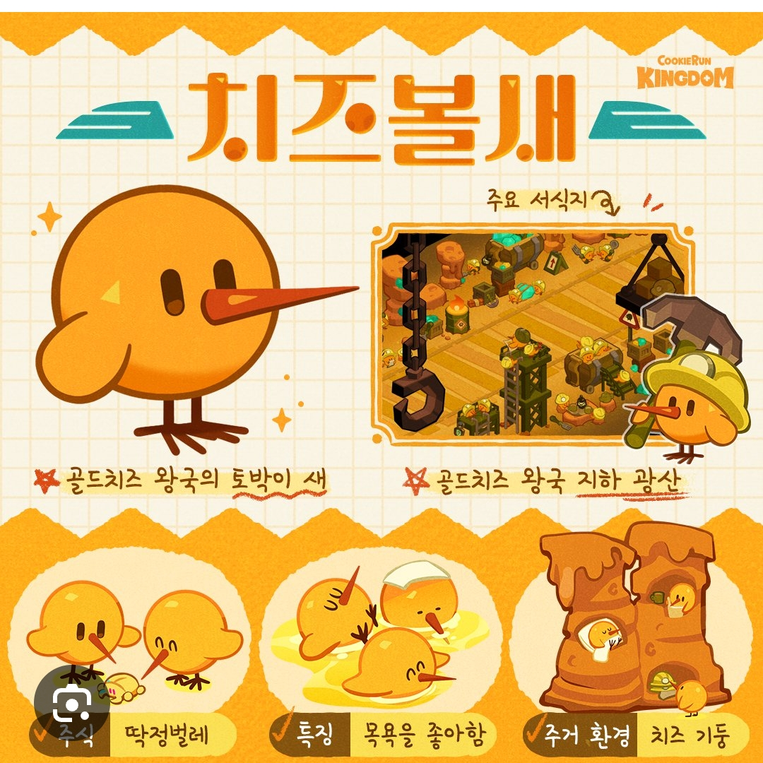 치즈볼새 대표 이미지