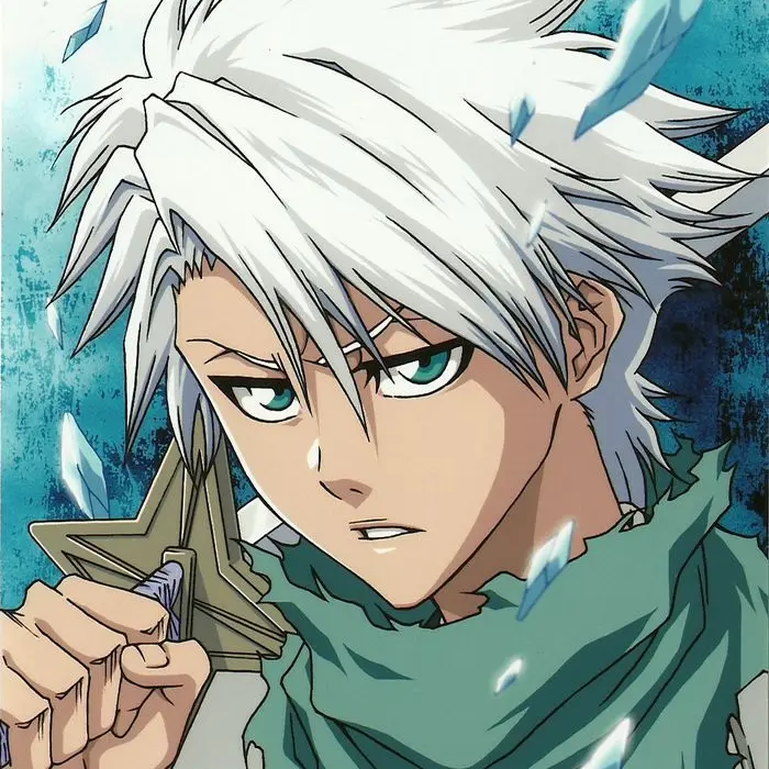 SpryHost0675의 히츠가야 토시로