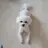 토토