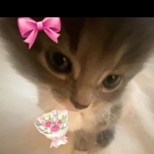 주닝