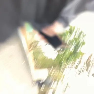 Profile image of 송동주