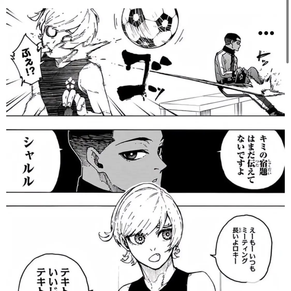 RapierBaby8639의 로키,샤를