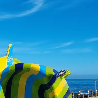 Profile image of 발락 클라라