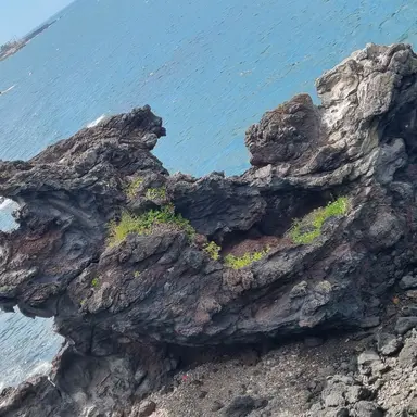 Profile image of 아스모데우스