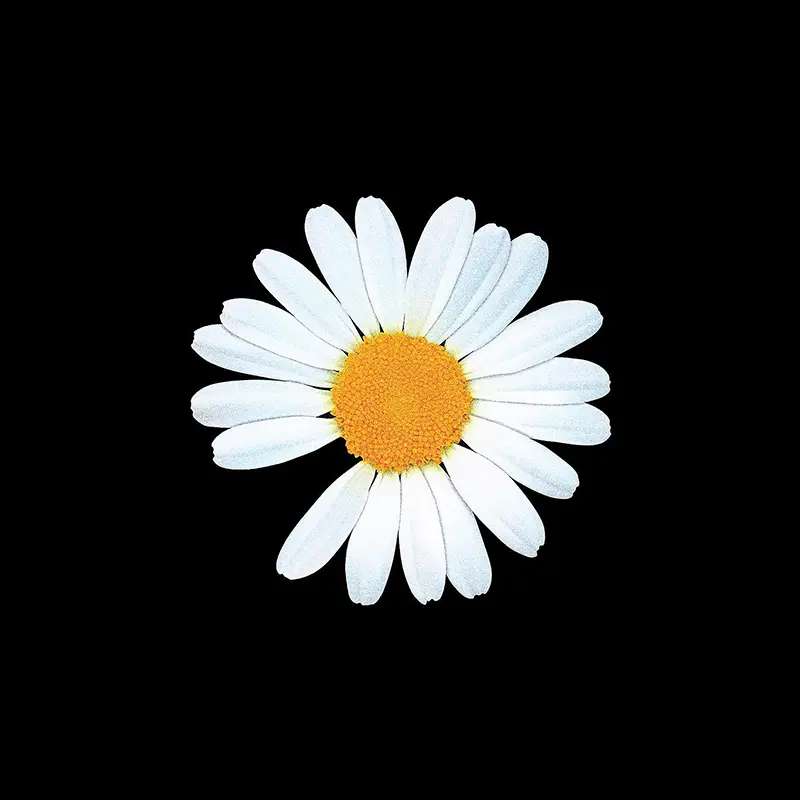 Blowyourmind의 권지용