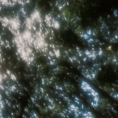 Profile image of 雲