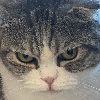 Profile image of イ・ユア