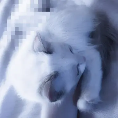 Profile image of 関東卍會