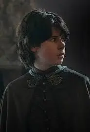 Profile image of Lucerys