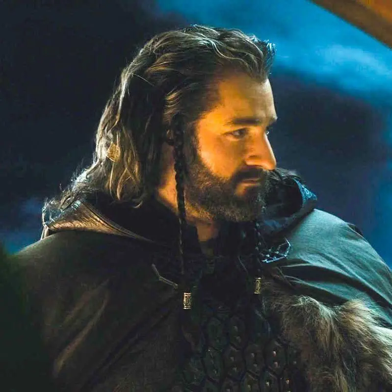 LargeRake3207의 the hobbit