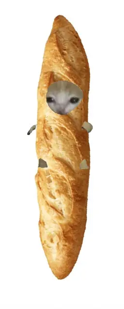 Profile image of France