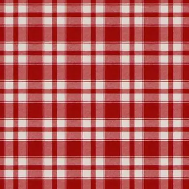 Profile image of 舜太